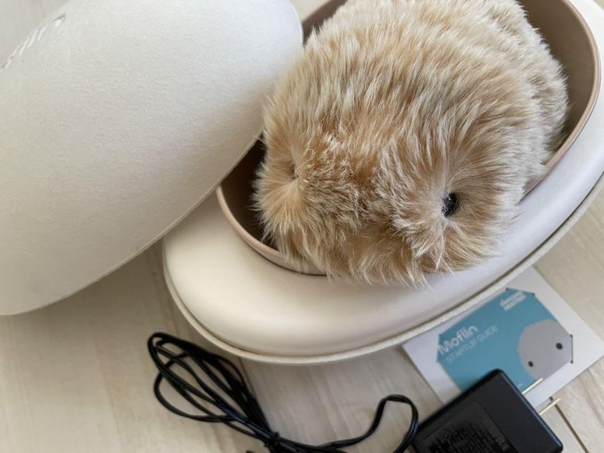 کاسیۆ ئاژەڵێکی ماڵی بە زیرەکی دەستکرد بەرهەم دەهێنێت