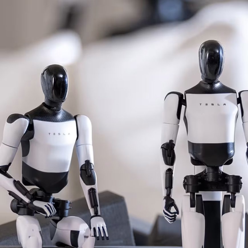 کۆمپانیایەکی نوێی ڕۆبۆت بەهرەمەندانی ژیری دەستکردی تێسلا دەبات