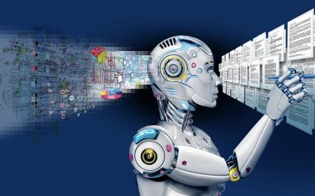 ستراتیژی پەتاتە چییە؟!!